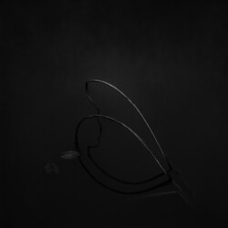 고요 I , 경기도 용인, 1998