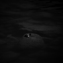 고요 I , 강원도 정선, 2011