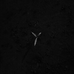 고요 I , 충청남도 아산, 2001