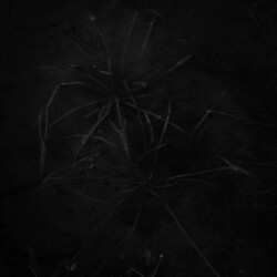 고요 I , 경기도 용인, 1999