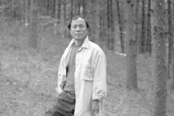 1994년 서울 우면산