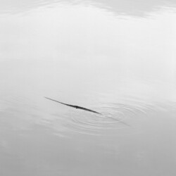 고요 I , 경기도 용인, 1999