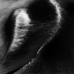 고요II, 강원도 홍천, 2012