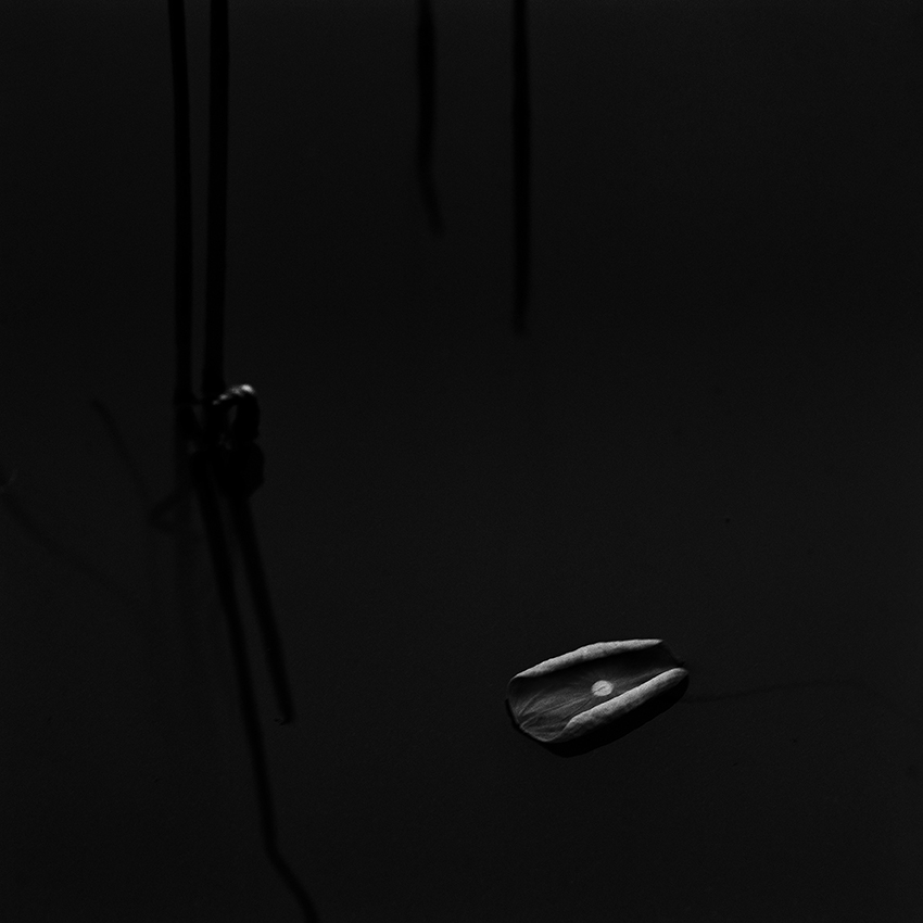 고요 I , 경기도 용인, 1998