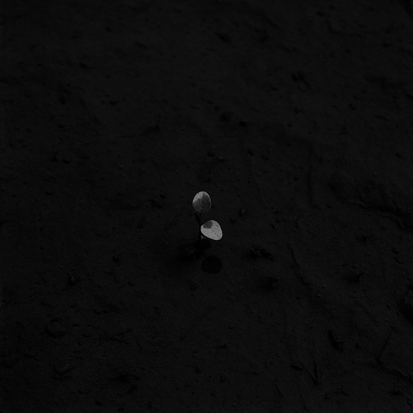 고요 I , 경기도 여주, 1997