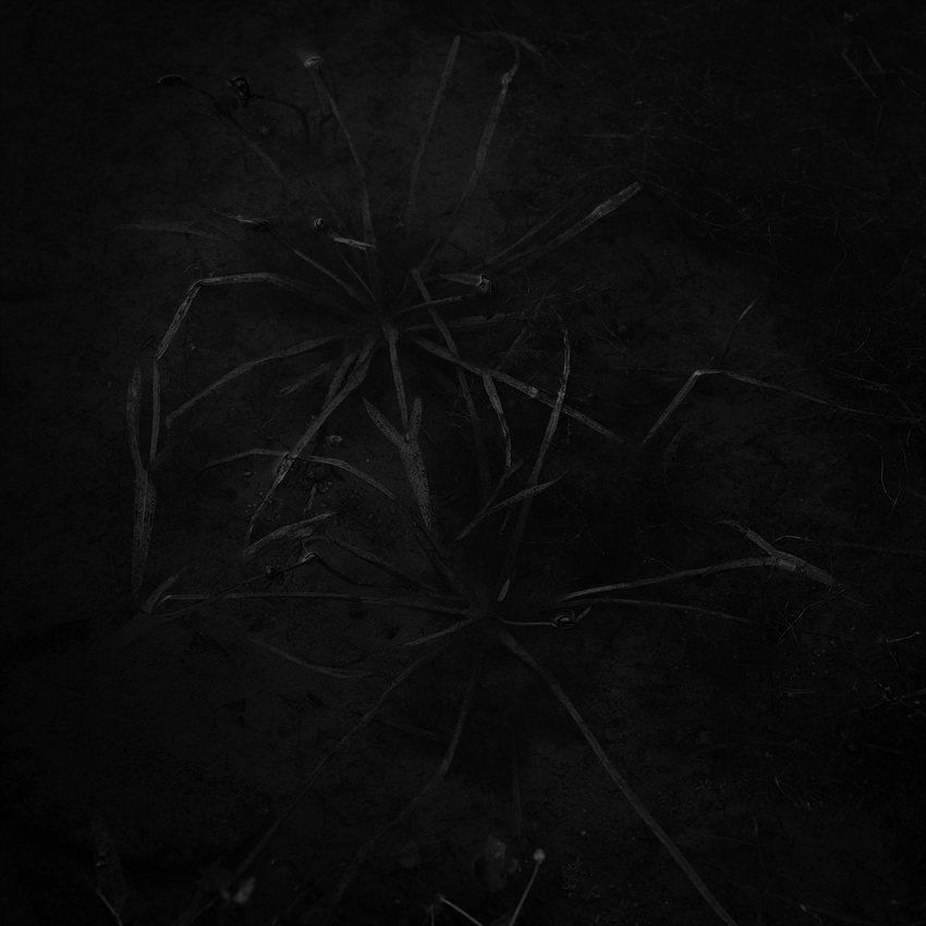 고요 I , 경기도 용인, 1999
