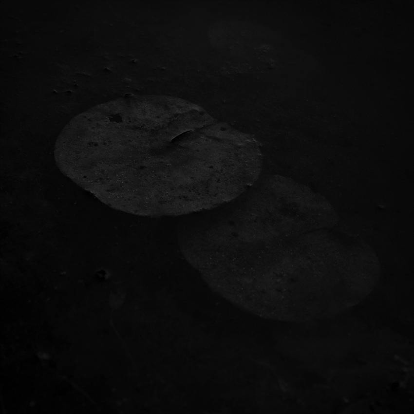 고요 I , 경기도 용인, 1999