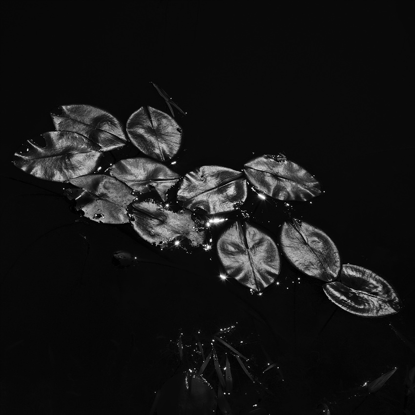 고요 I , 경기도 용인, 1998