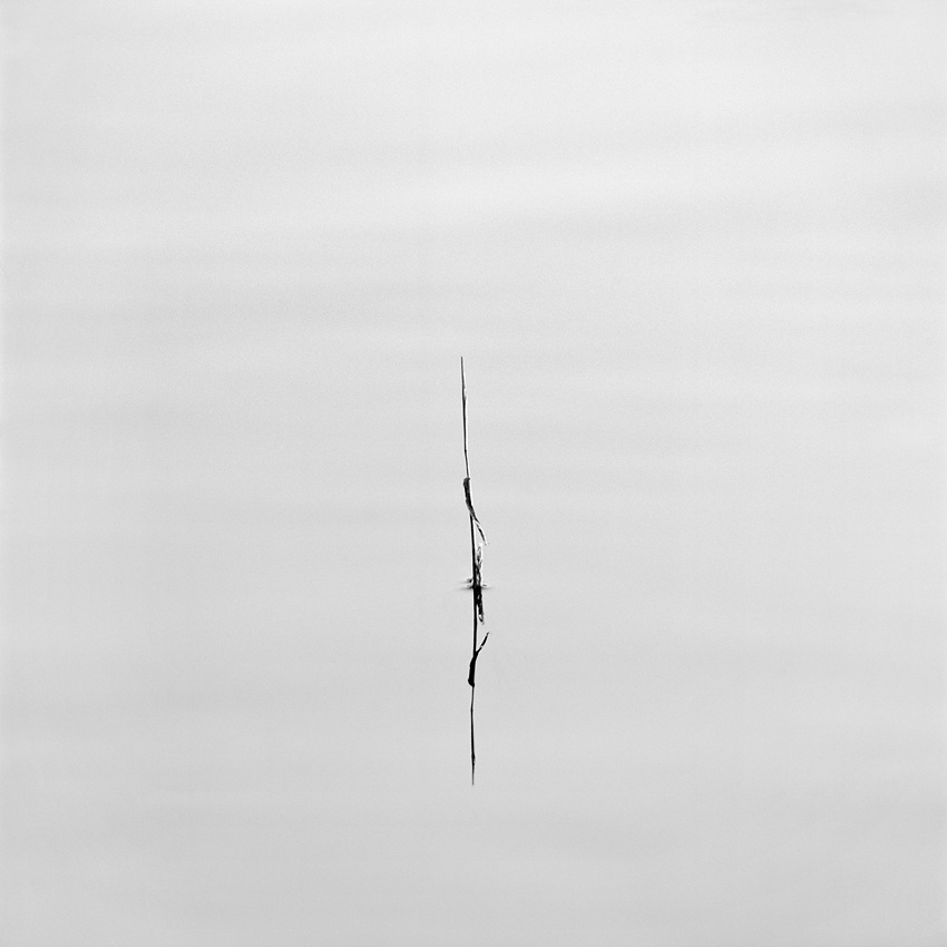 고요 I , 경기도 용인, 1999